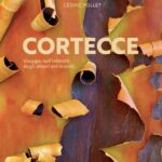 L'arte involontaria delle cortecce